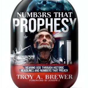 Destiny Image Christian Prophecy Kindle eBook 302 Pages English-0