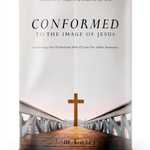 Studies In The Kingdom of God eBook Faithful Publishing Volume 3-0